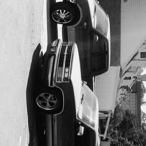 Meet your Posher, Wayne